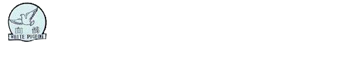 滑石礦業